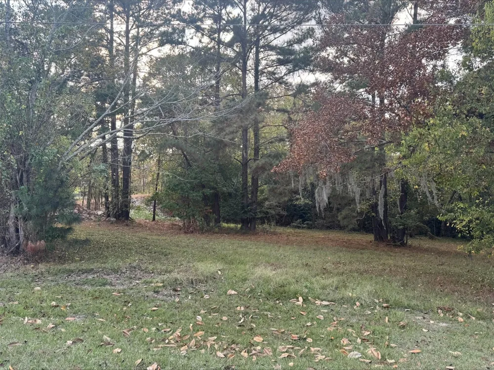 Silver Hickory Drive Coldspring, TX 77331