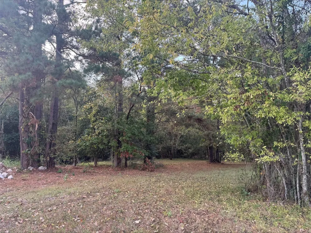 Silver Hickory Drive Coldspring, TX 77331