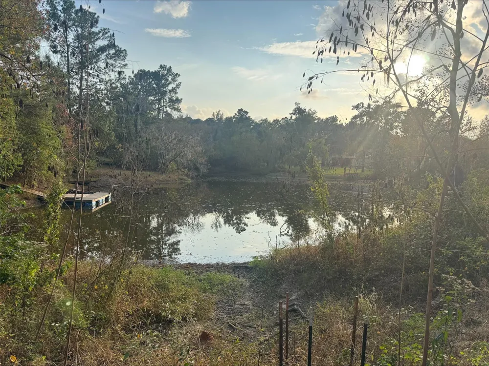 Silver Hickory Drive Coldspring, TX 77331