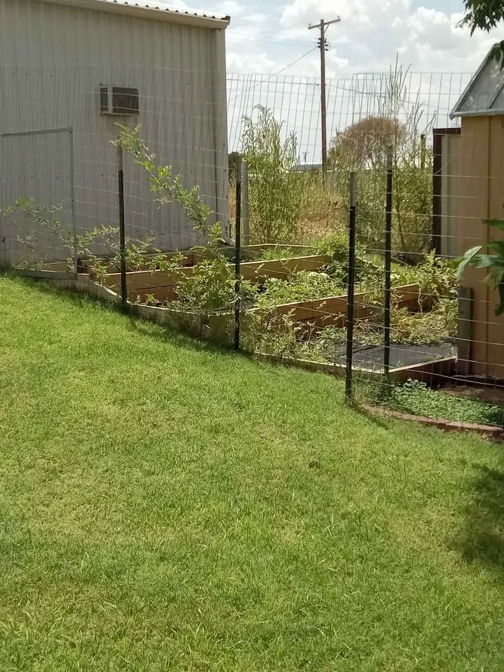 408 E Johnston Street Rotan, TX 79546
