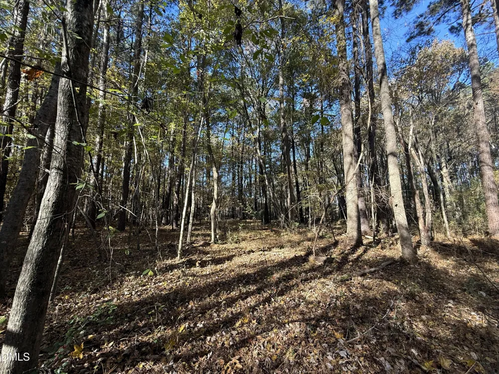 494 Bunn Elementary School Road Bunn, NC 27508