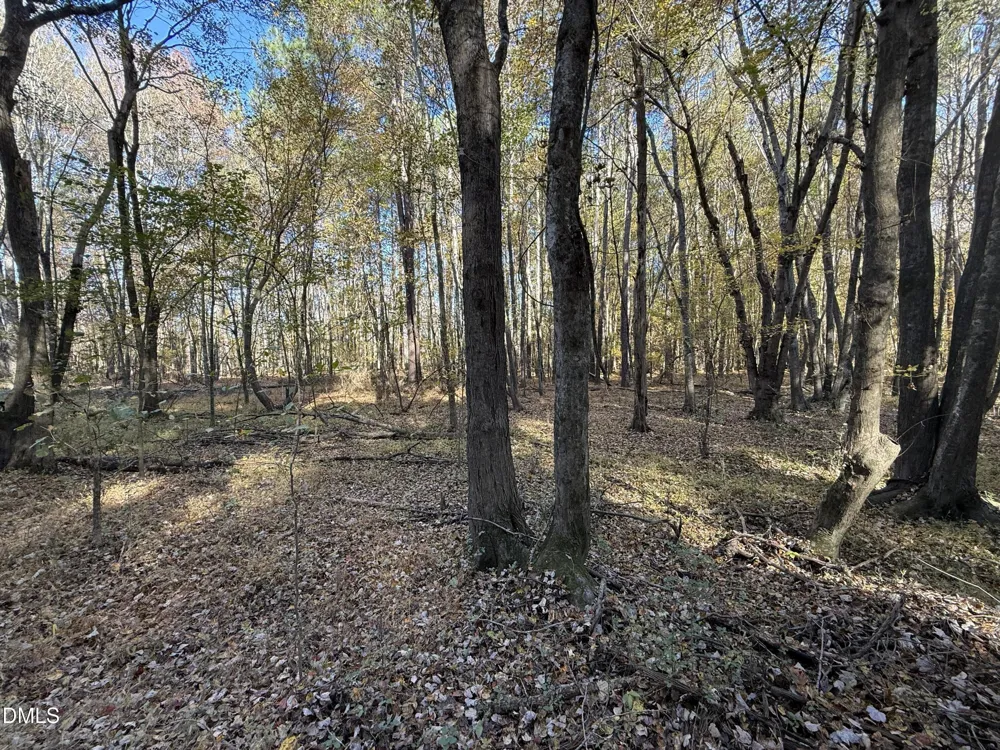 494 Bunn Elementary School Road Bunn, NC 27508