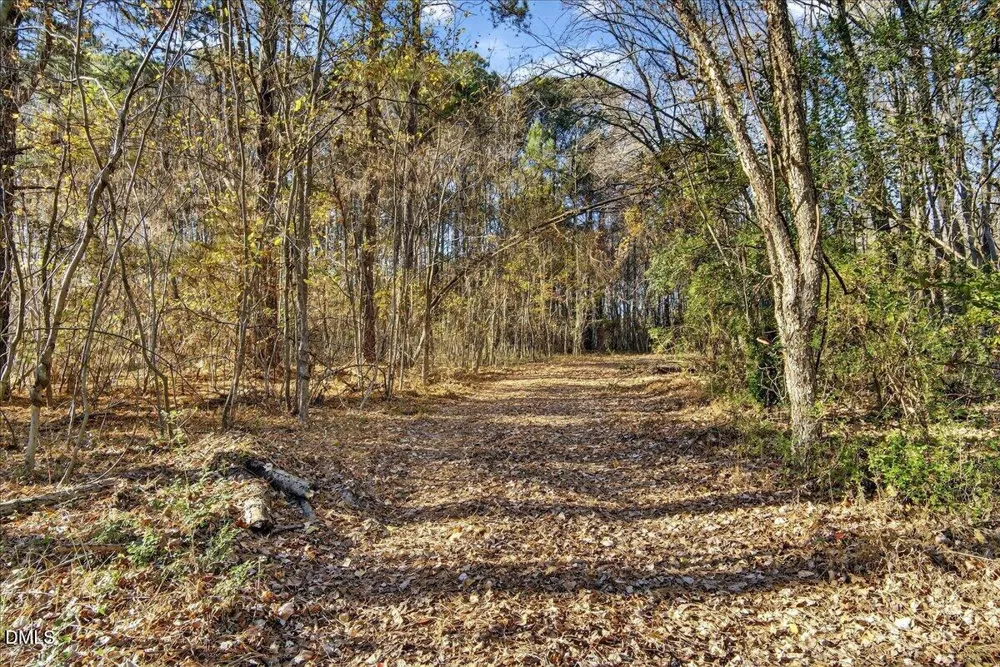 494 Bunn Elementary School Road Bunn, NC 27508