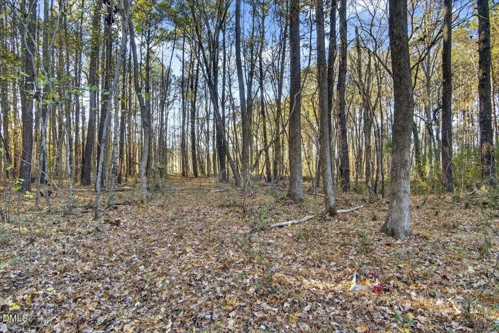 494 Bunn Elementary School Road Bunn, NC 27508