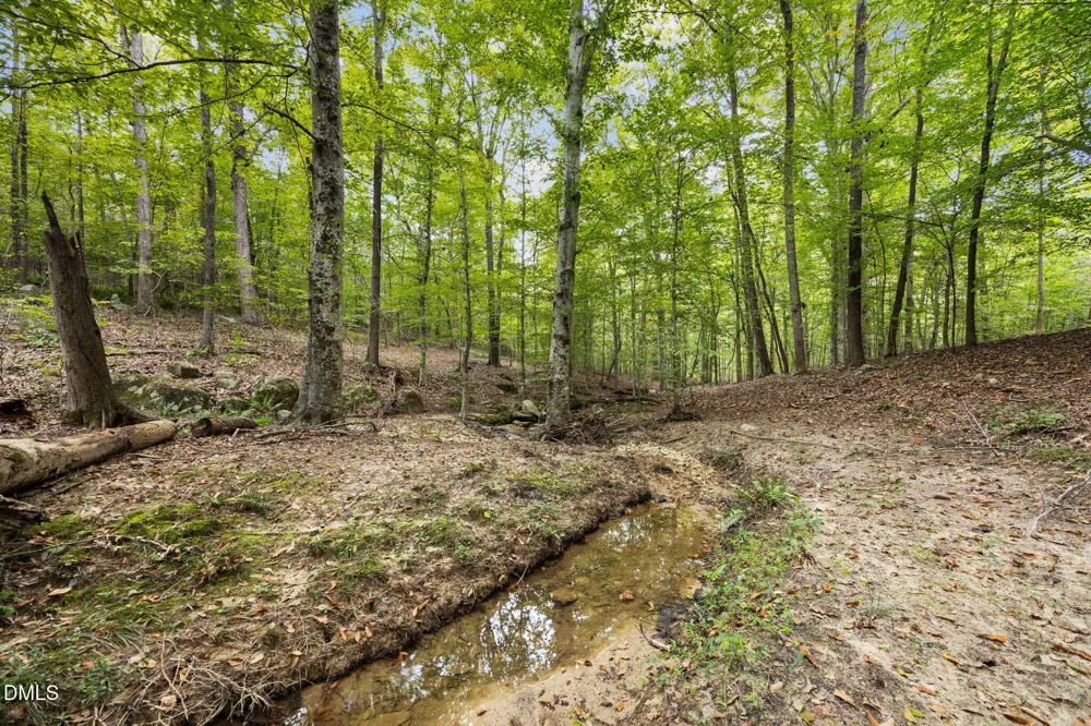 Lot D Wolf Tree Way Efland, NC 27243