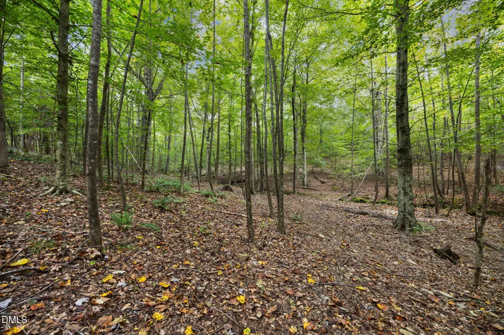 Lot D Wolf Tree Way Efland, NC 27243