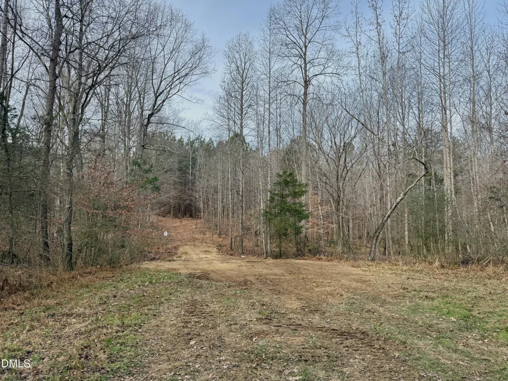 Lot D Wolf Tree Way Efland, NC 27243