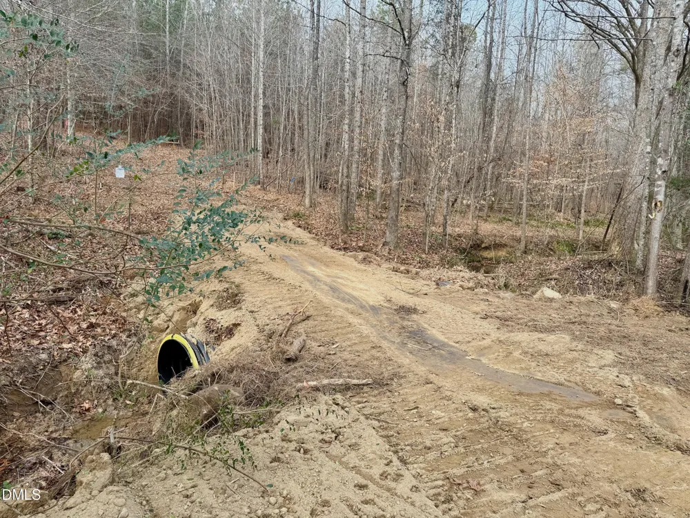 Lot D Wolf Tree Way Efland, NC 27243