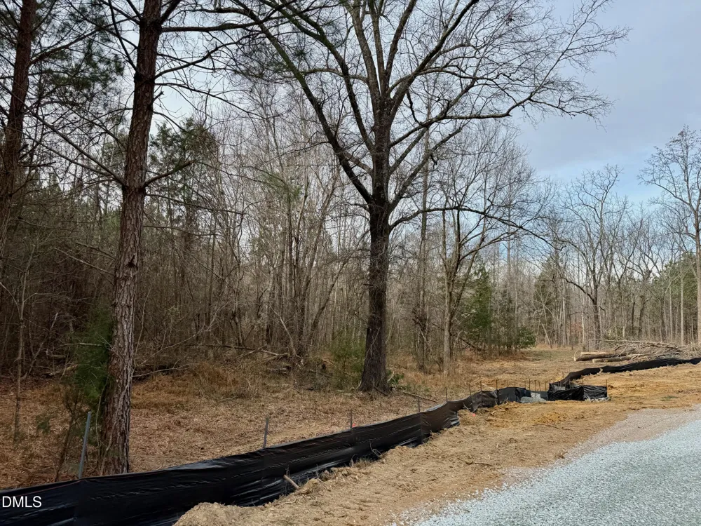 Lot D Wolf Tree Way Efland, NC 27243