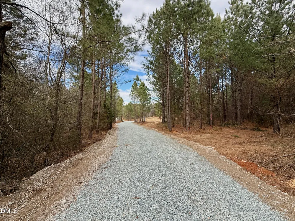 Lot D Wolf Tree Way Efland, NC 27243