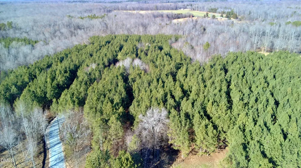 Lot D Wolf Tree Way Efland, NC 27243