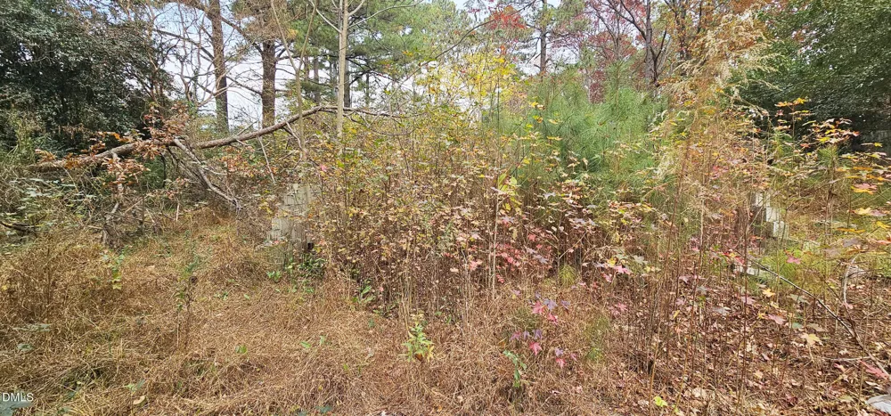 6026 Colonial Drive Raleigh, NC 27603