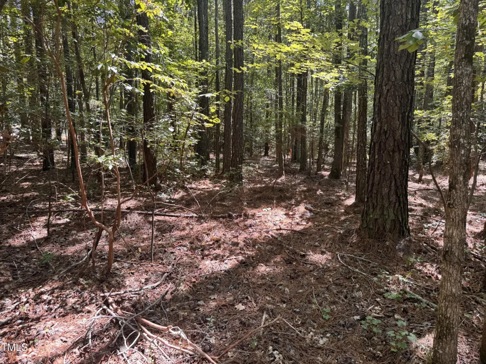 120 Anfield Road New Hill, NC 27562