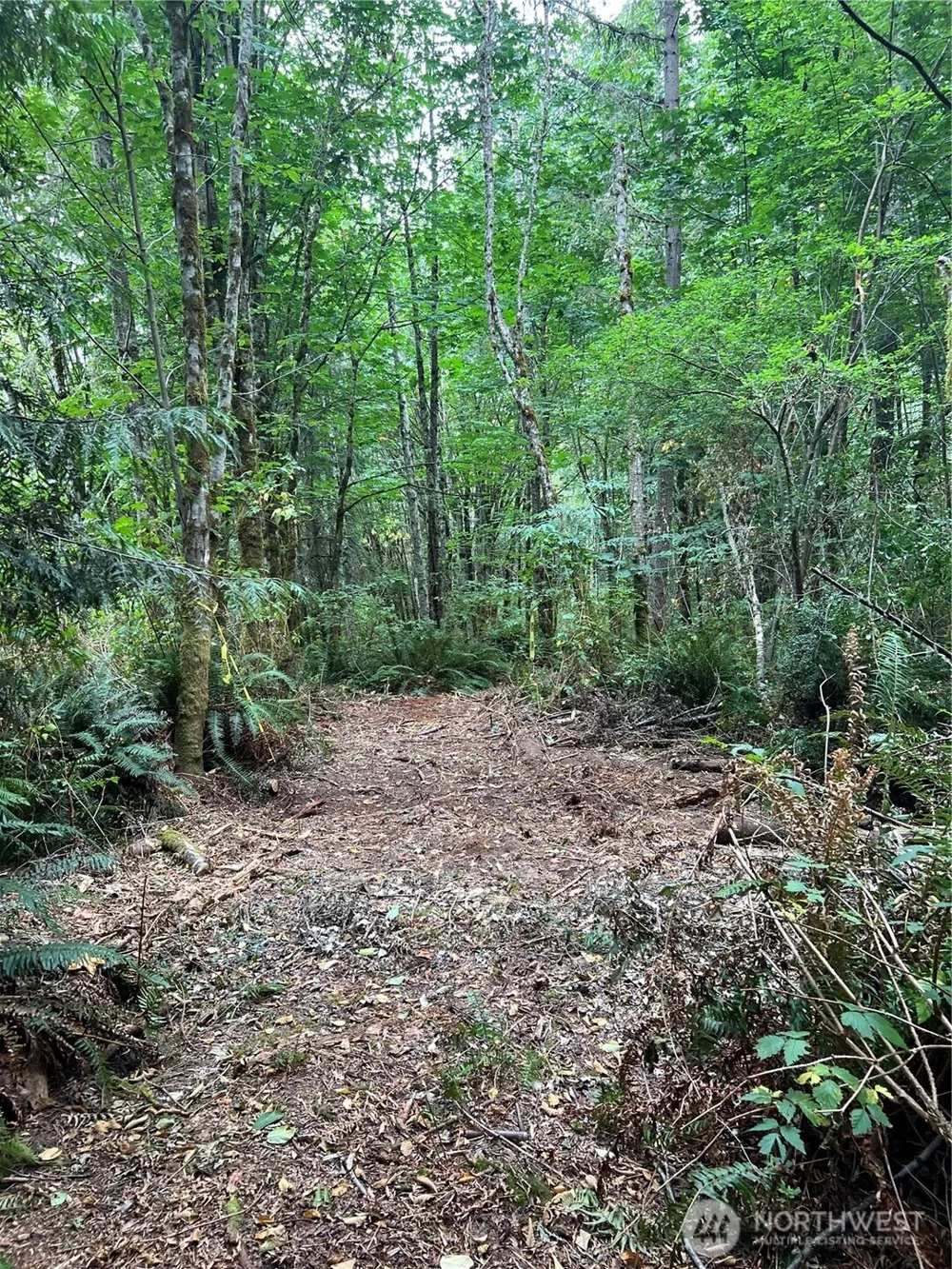 1 XX Scenic Drive Poulsbo, WA 98370