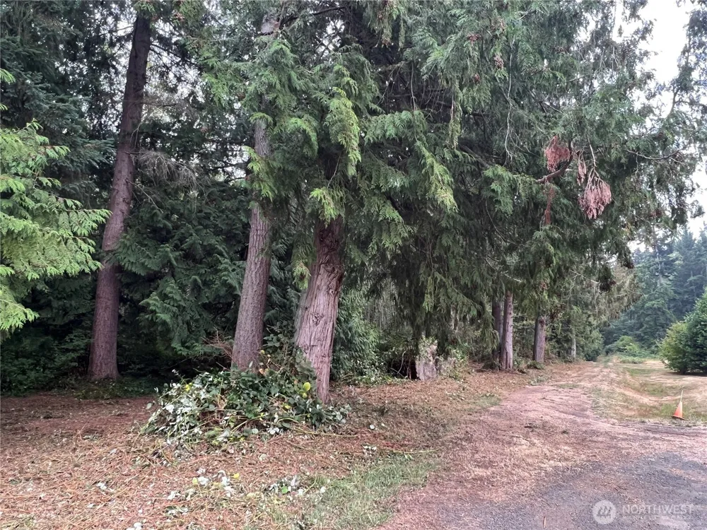 1 XX Scenic Drive Poulsbo, WA 98370