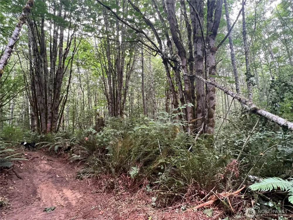 1 XX Scenic Drive Poulsbo, WA 98370