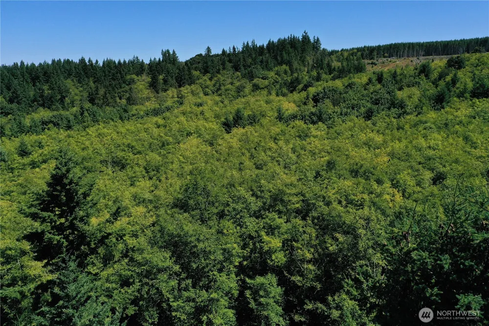 1 XX Scenic Drive Poulsbo, WA 98370