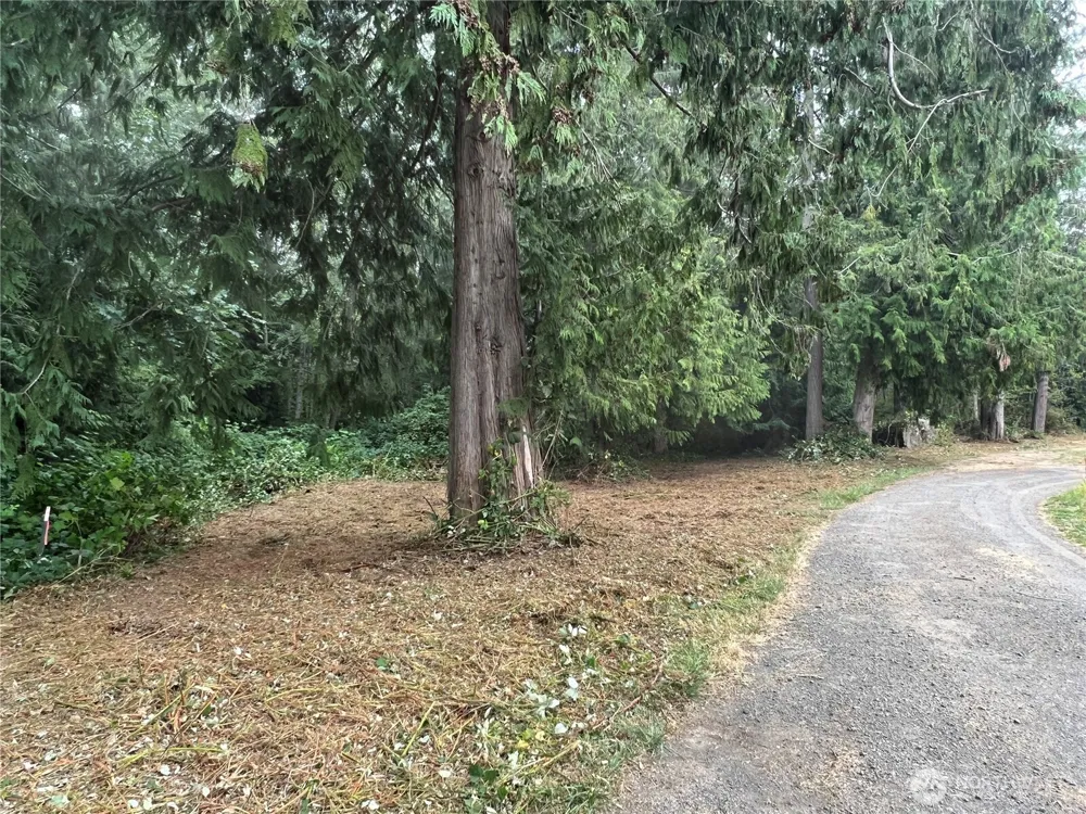 1 XX Scenic Drive Poulsbo, WA 98370