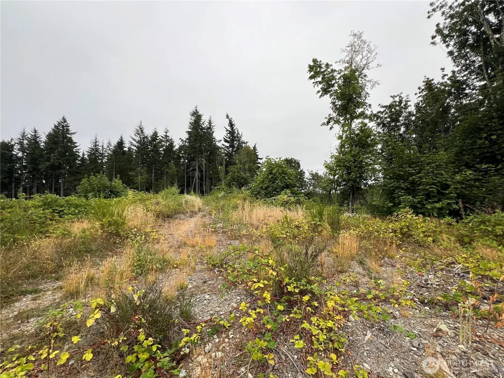 1 XX Scenic Drive Poulsbo, WA 98370