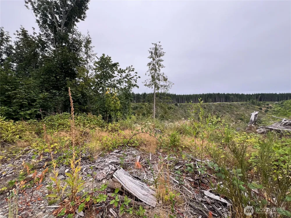 1 XX Scenic Drive Poulsbo, WA 98370