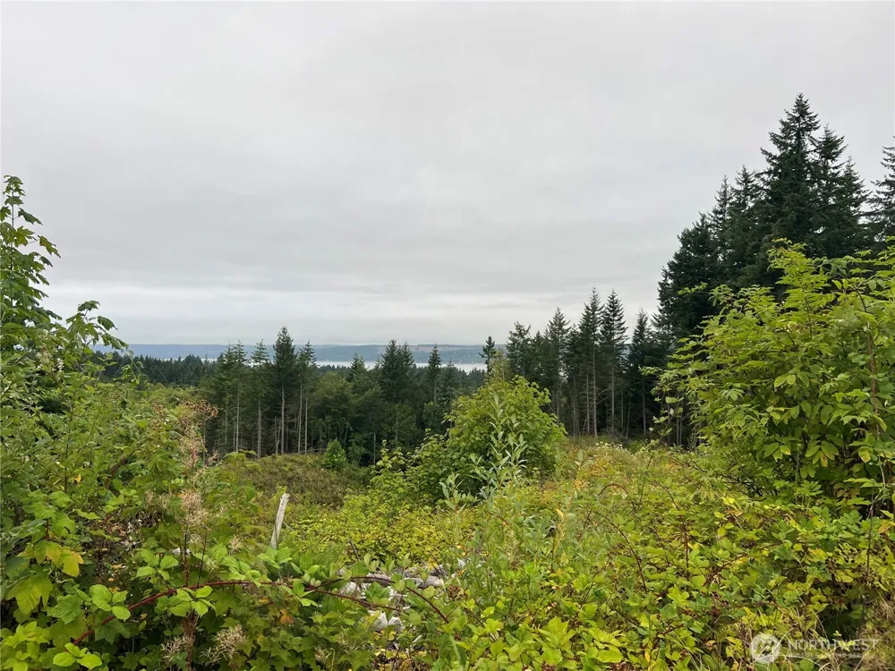 1 XX Scenic Drive Poulsbo, WA 98370