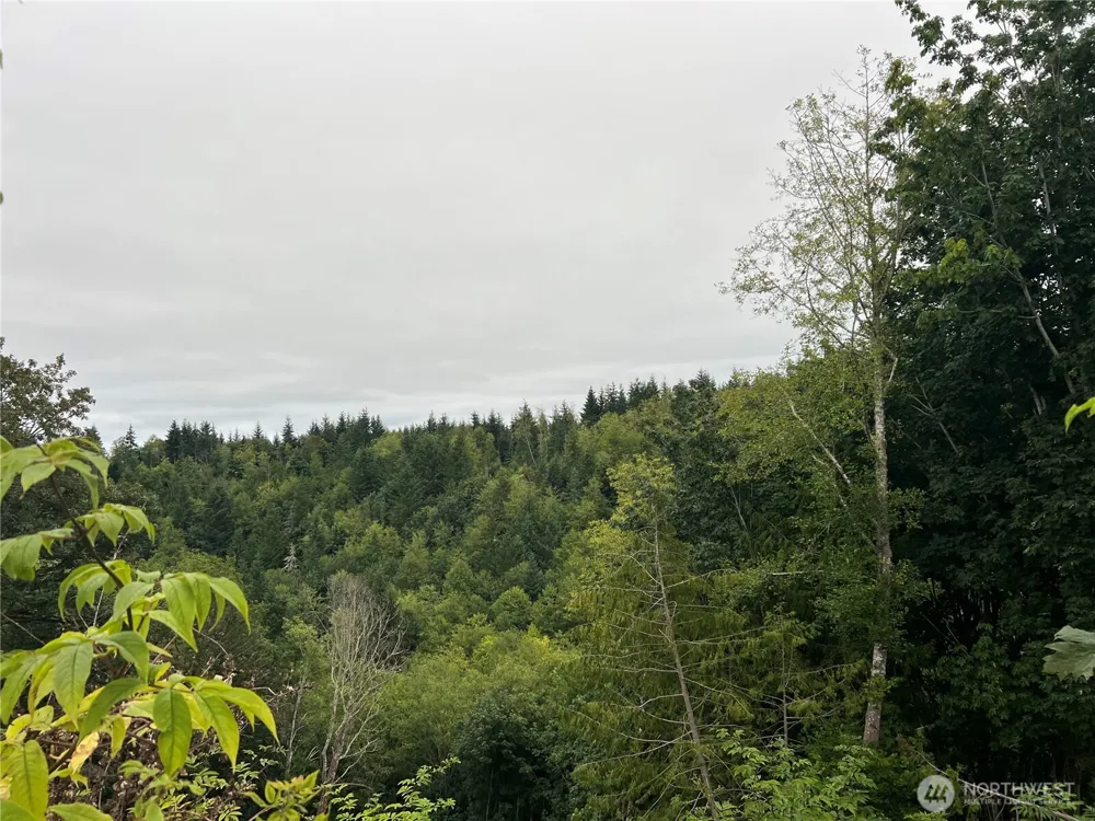 1 XX Scenic Drive Poulsbo, WA 98370