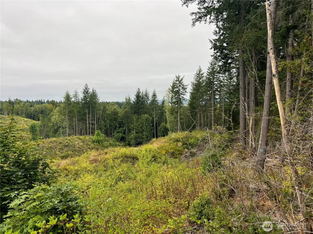 1 XX Scenic Drive Poulsbo, WA 98370