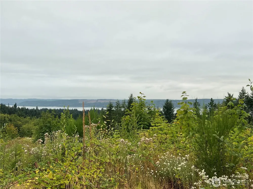1 XX Scenic Drive Poulsbo, WA 98370