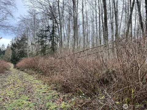 2 XX Scenic Drive