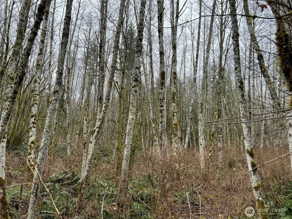 2 XX Scenic Drive Poulsbo, WA 98370