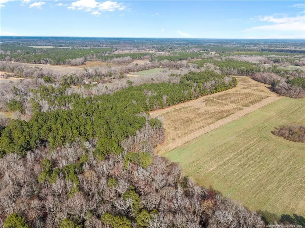 1896 & 0 Clark Road Lillington, NC 27546