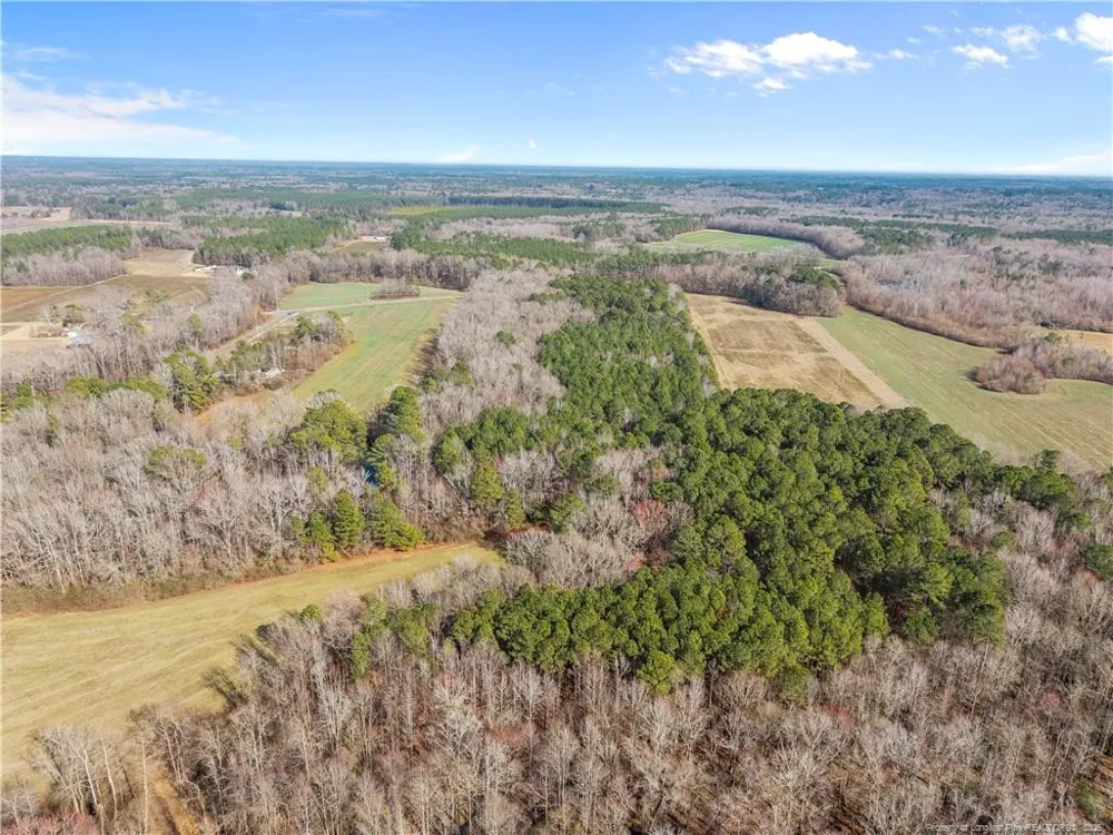 1896 & 0 Clark Road Lillington, NC 27546