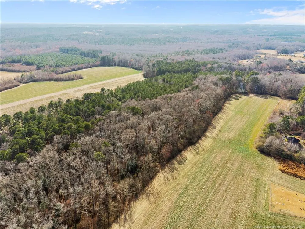 1896 & 0 Clark Road Lillington, NC 27546