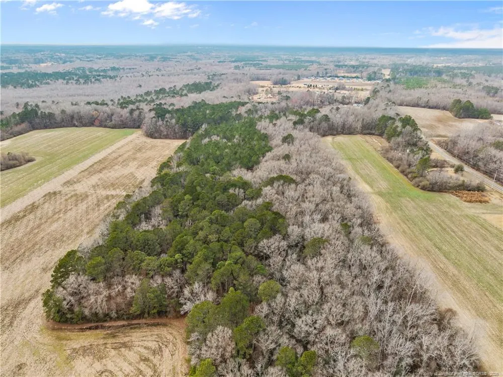 1896 & 0 Clark Road Lillington, NC 27546