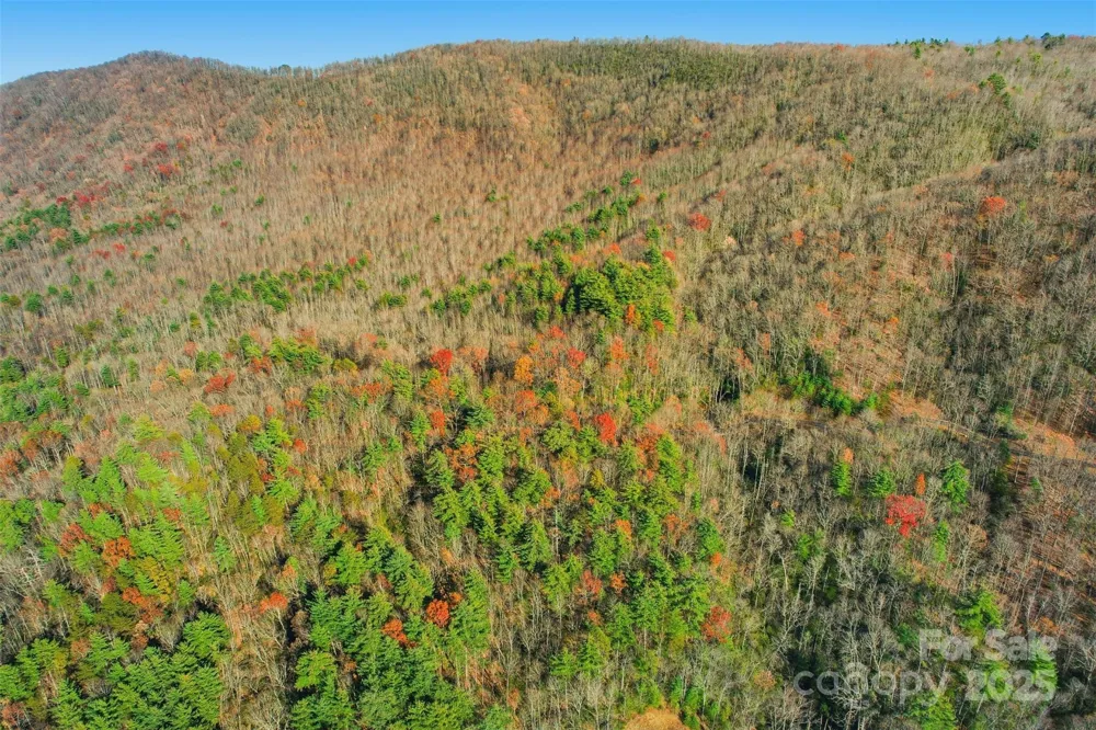 Lot 75 Peppervine Circle Rosman, NC 28712