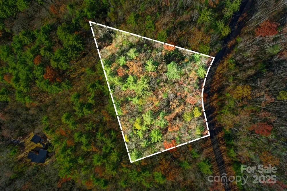 Lot 75 Peppervine Circle Rosman, NC 28712