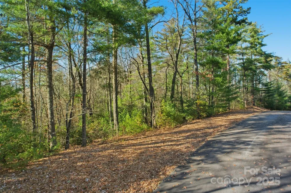 Lot 75 Peppervine Circle Rosman, NC 28712