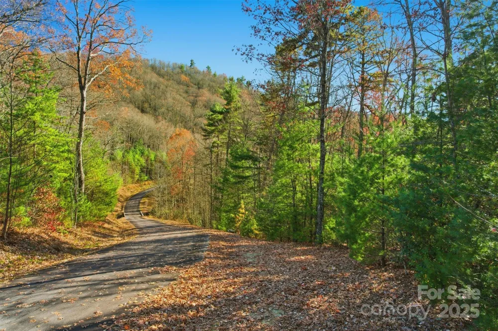 Lot 75 Peppervine Circle Rosman, NC 28712