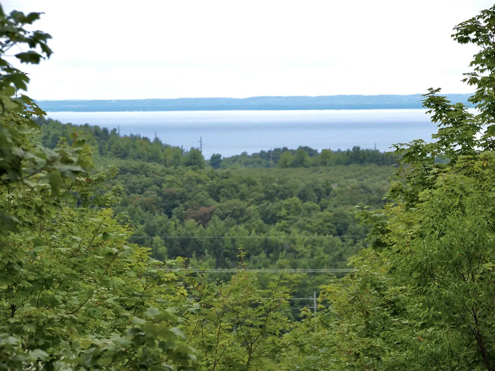 E Duck Lake Road Suttons Bay Township, MI 49682