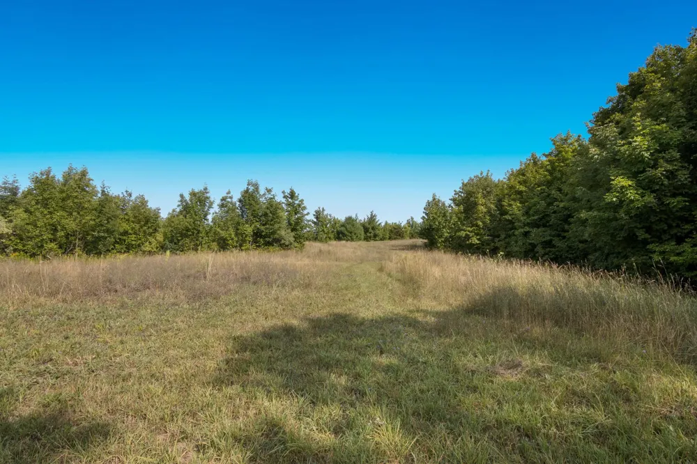 E Duck Lake Road Suttons Bay Township, MI 49682