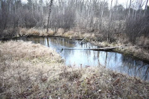 646 W 3 Mile Road