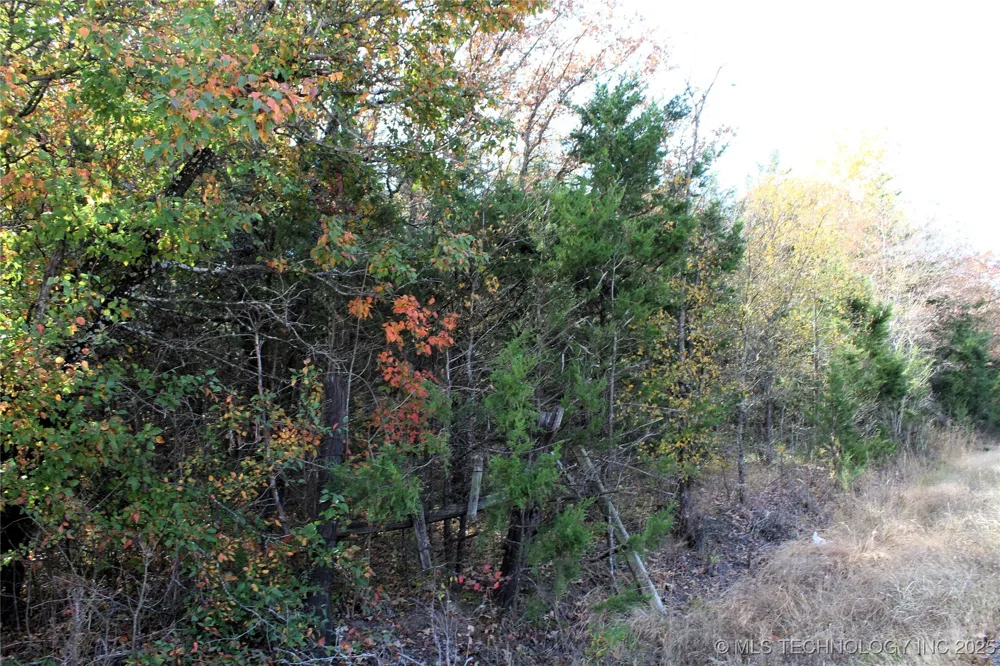 Red Lake Road Albany, OK 74726