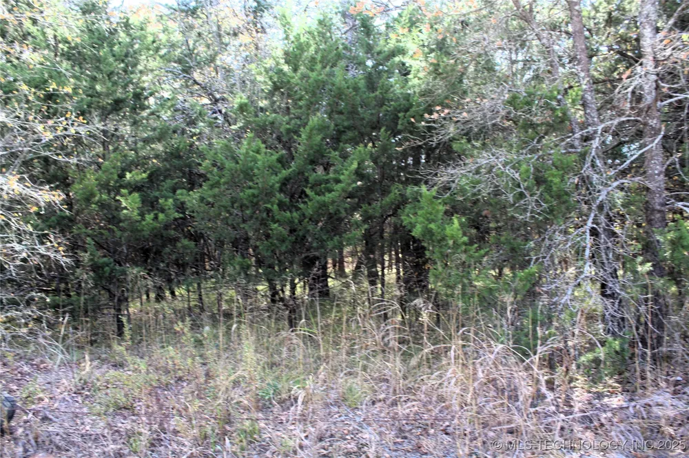 Red Lake Road Albany, OK 74726