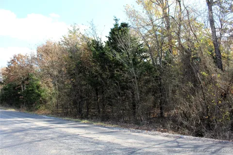 Red Lake Road