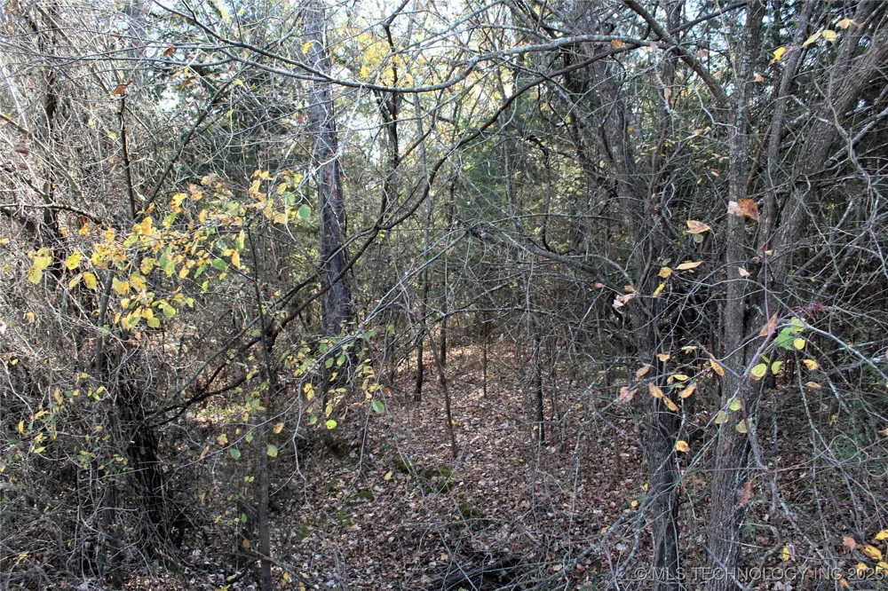 Red Lake Road Albany, OK 74726