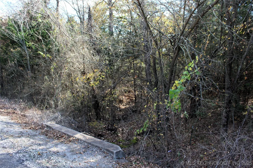 Red Lake Road Albany, OK 74726