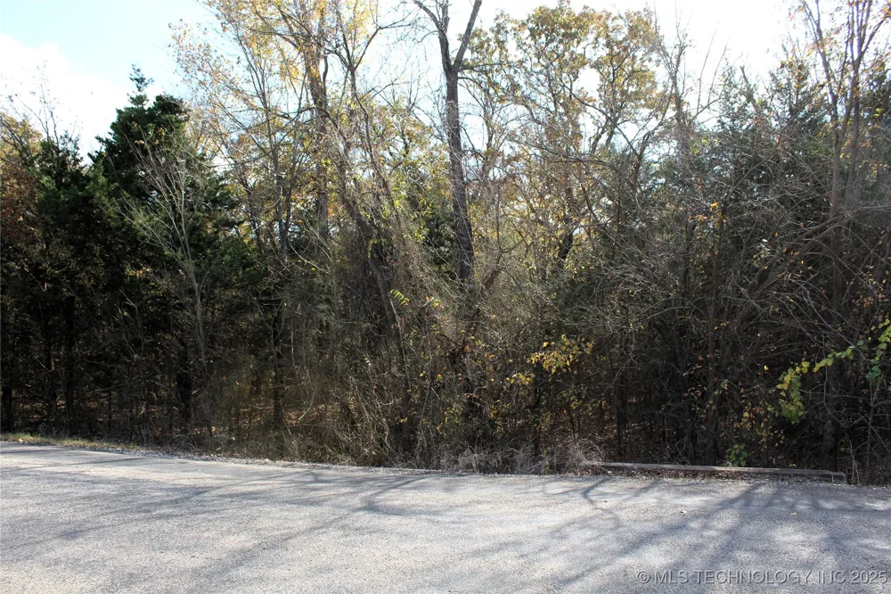 Red Lake Road Albany, OK 74726