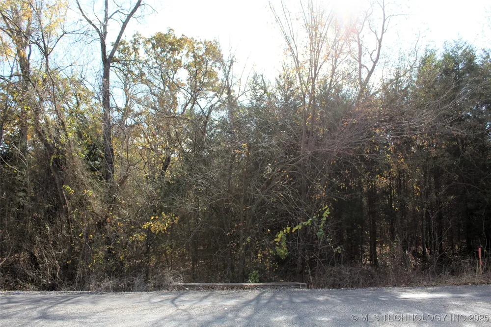 Red Lake Road Albany, OK 74726