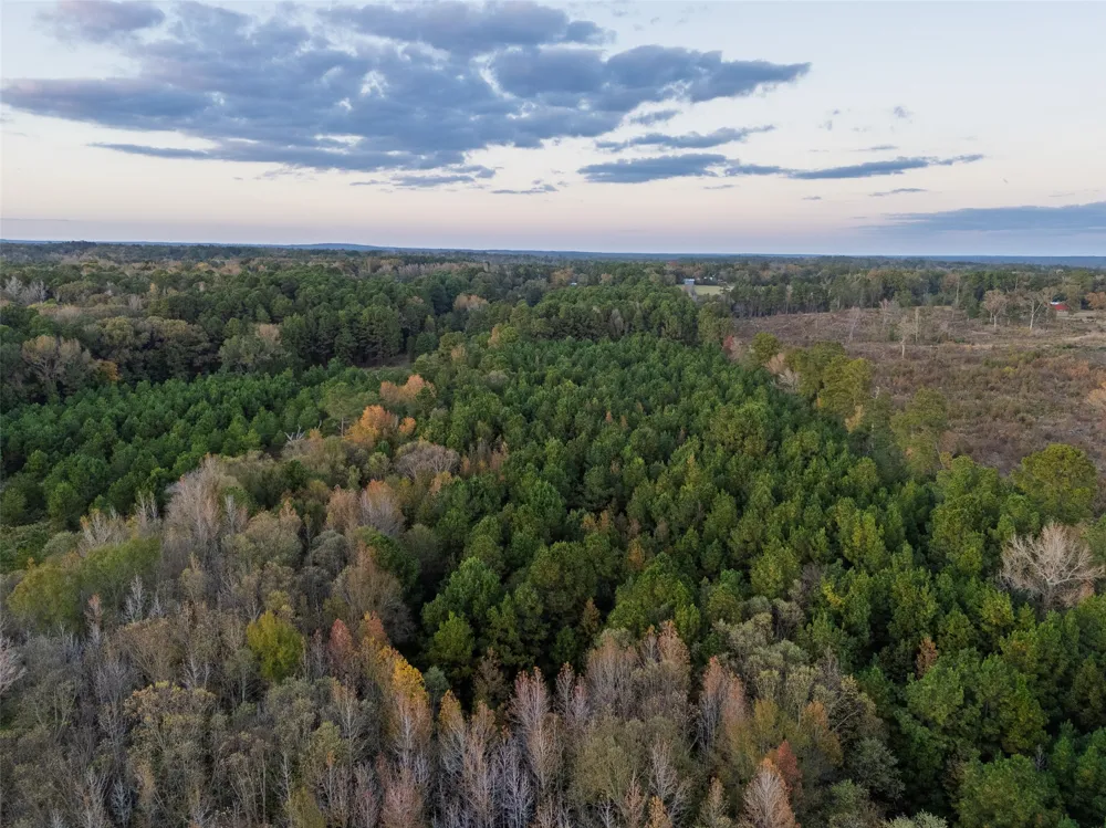 640 County Road 4910 Troup, TX 75789