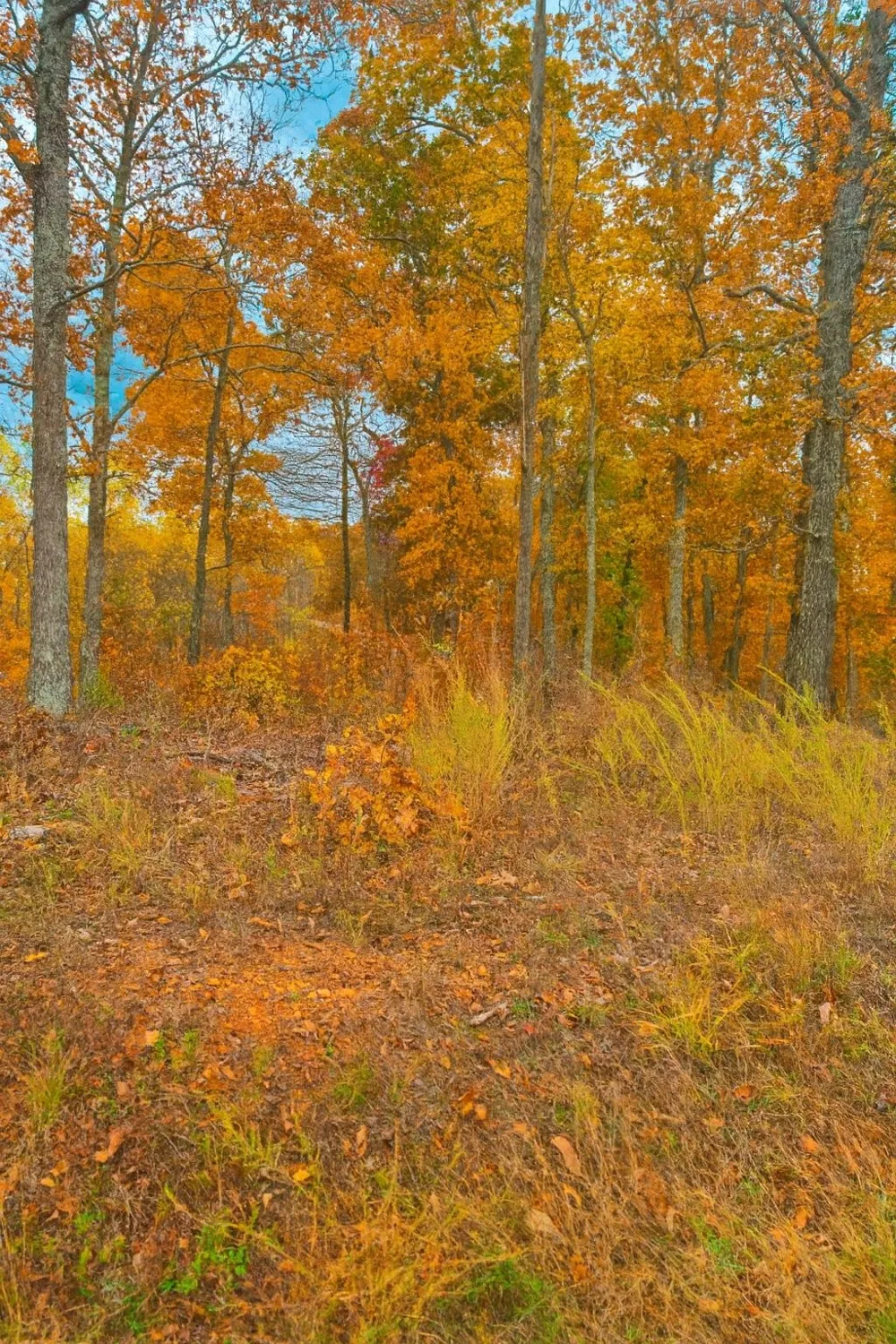0 Overlook Trl Stewart, TN 37175